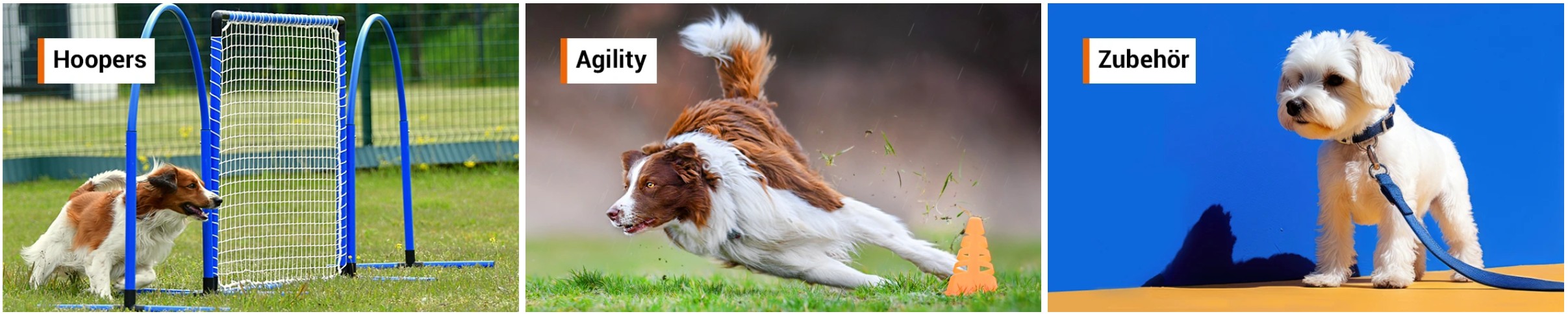 Superhund EN