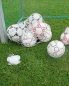 Preview: Ball net for up to 12 balls