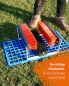 Preview: Shoe polisher for all sports