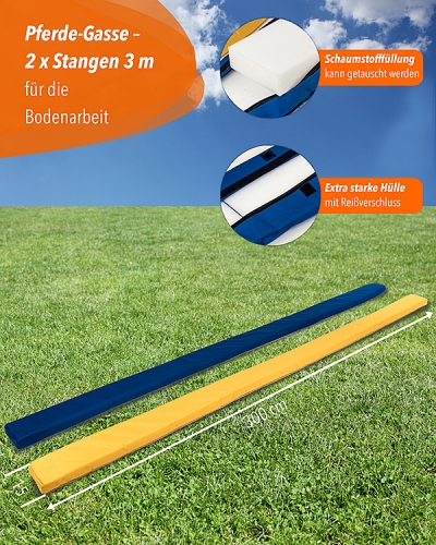 Preview: Horse lane, yellow/blue