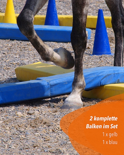 Preview: Horse lane, yellow/blue