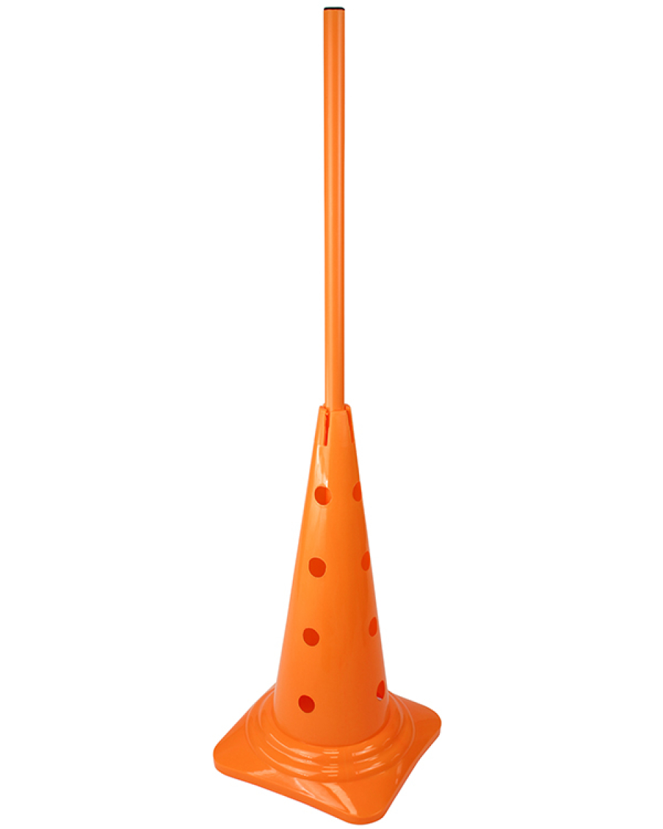 Preview: Cone 50 with pole 100 cm