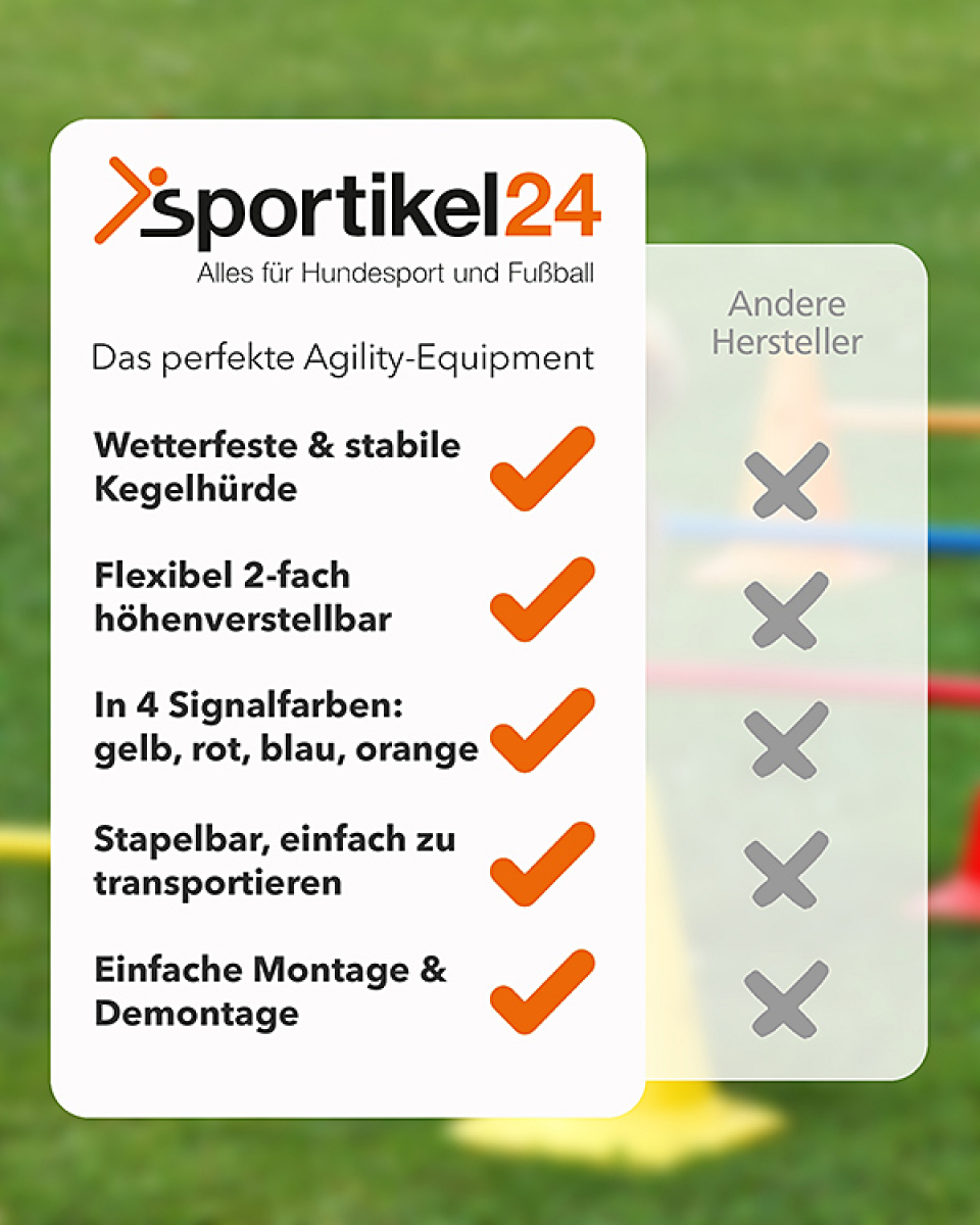 Preview: Kegelhürde 30 cm hoch
