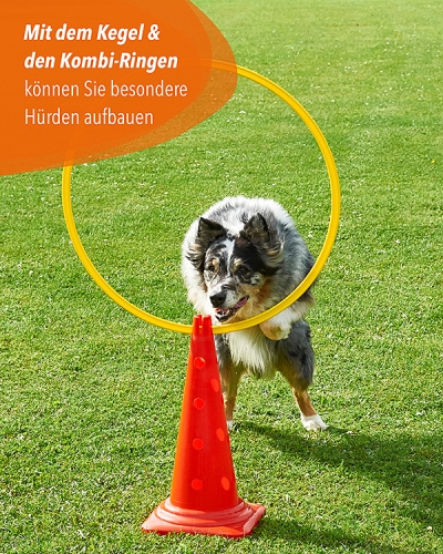 Combination cone 50, 4 colors (with variants)
