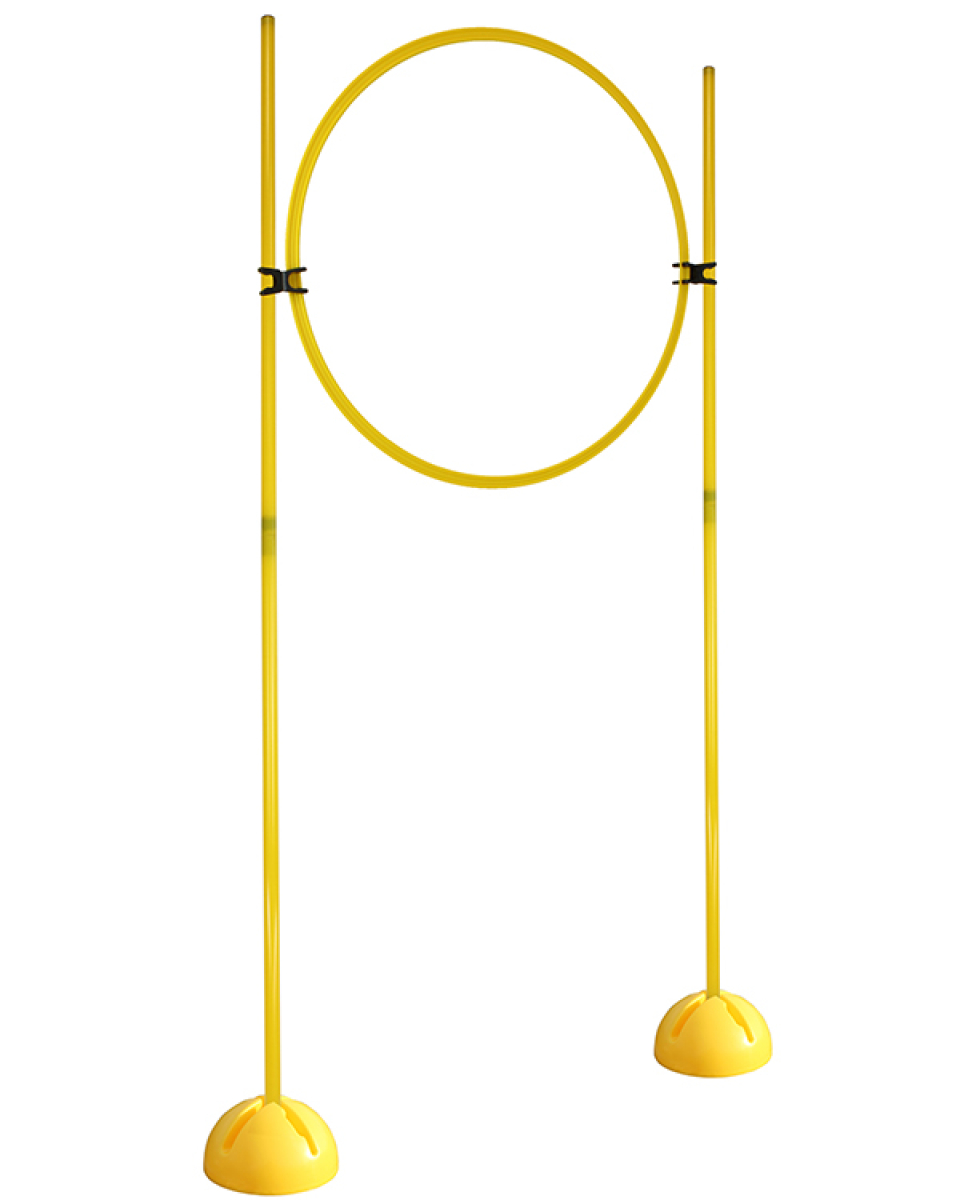 Ring-Hürdenset