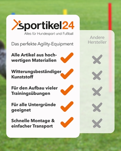 Preview: Indoor & Artificial Turf-Set with coordination ladder, slalom, hurdles & bag