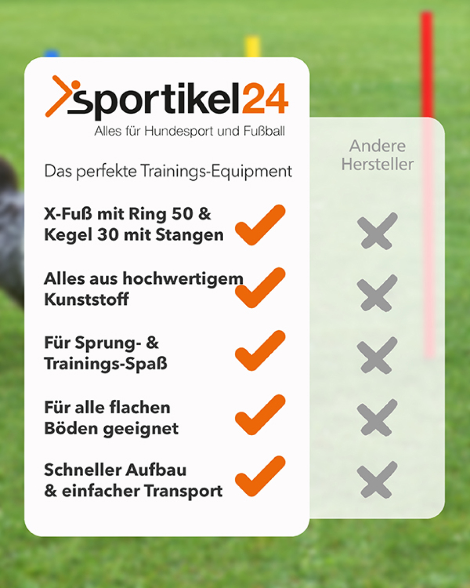 Preview: JUMP & COORDINATION -Set with X-foot & rings 50, cone hurdles & bag