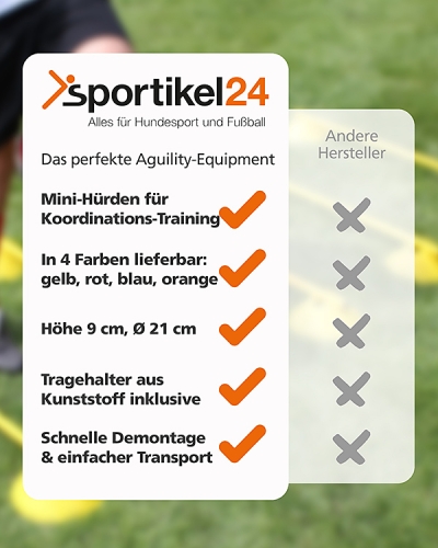 Preview: Mini-Hürden mit Stange 100 cm