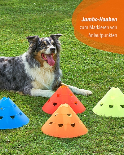 Preview: 20 Maxi Dome Cones with Carrying Holder