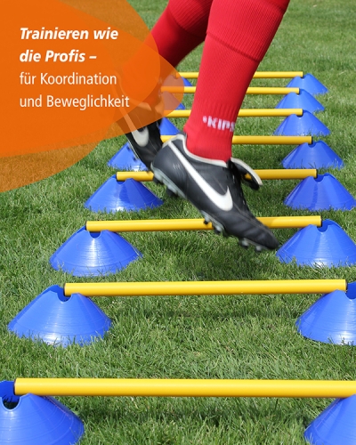Preview: Mini hurdles set of 10 with carrying holder & 100 cm poles, troughs & poles in 4 colors