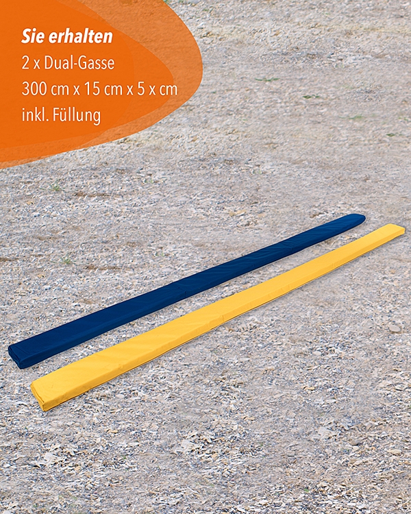 Horse lane, yellow/blue