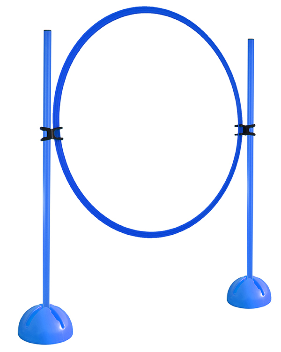 Ring-Hürdenset