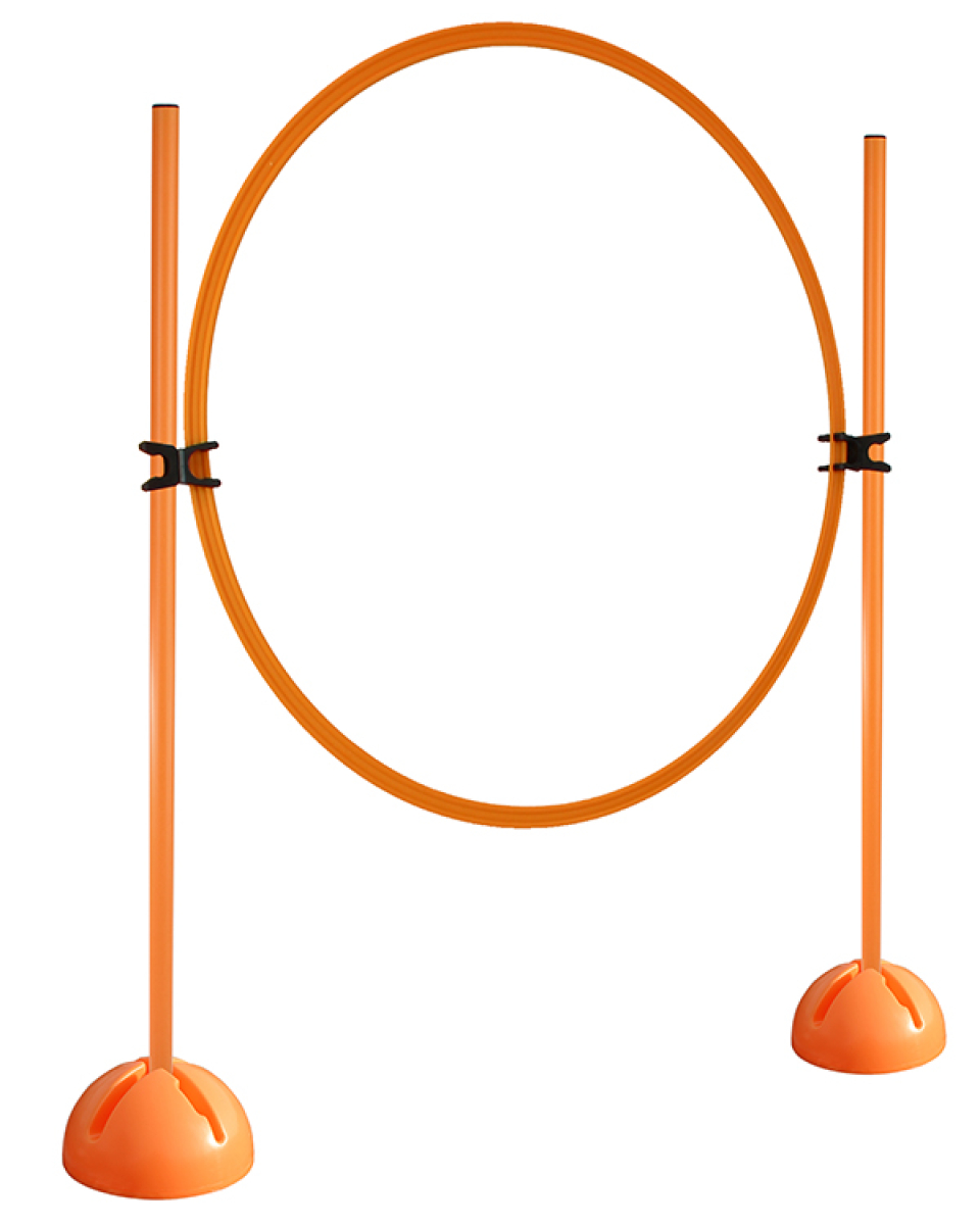 Ring-Hürdenset