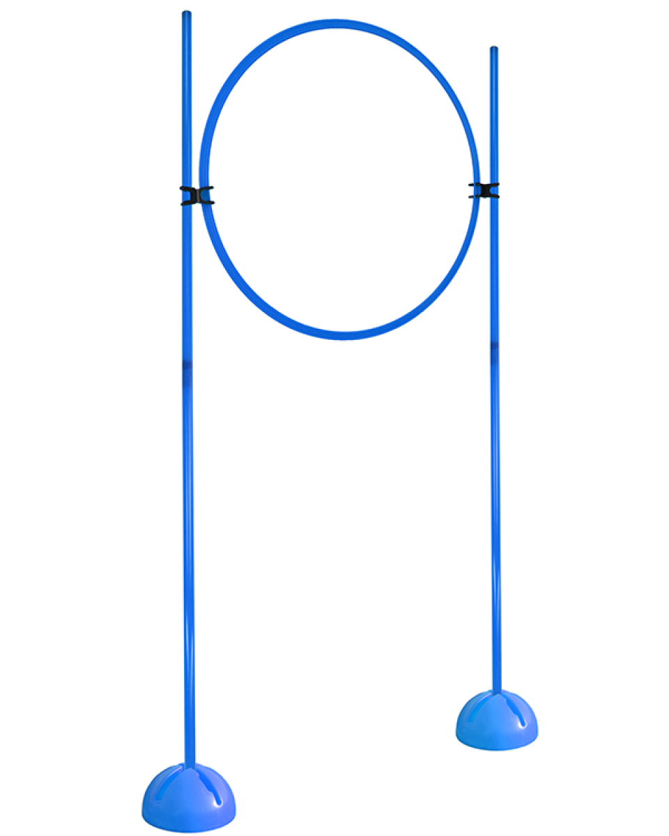 Ring-Hürdenset