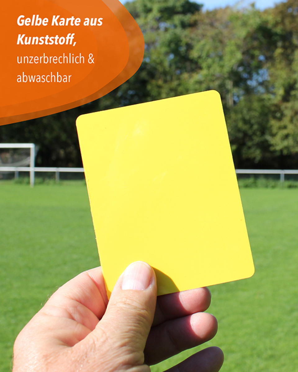 Trainer or referee set, 3-piece, with whistle & 2 cards