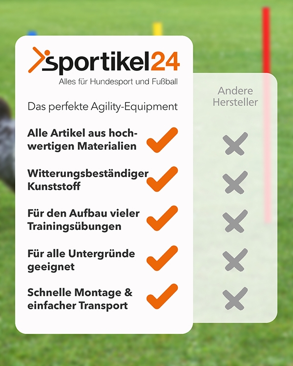 Indoor & Artificial Turf-Set with coordination ladder, slalom, hurdles & bag