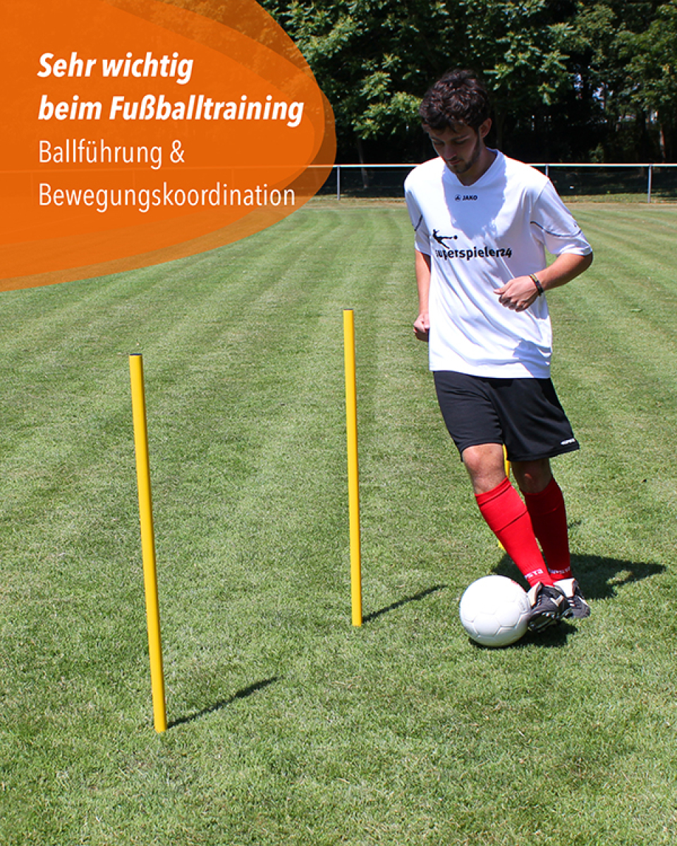 Slalom- & Hurdles-Set with slalom poles, jump hurdles & bag