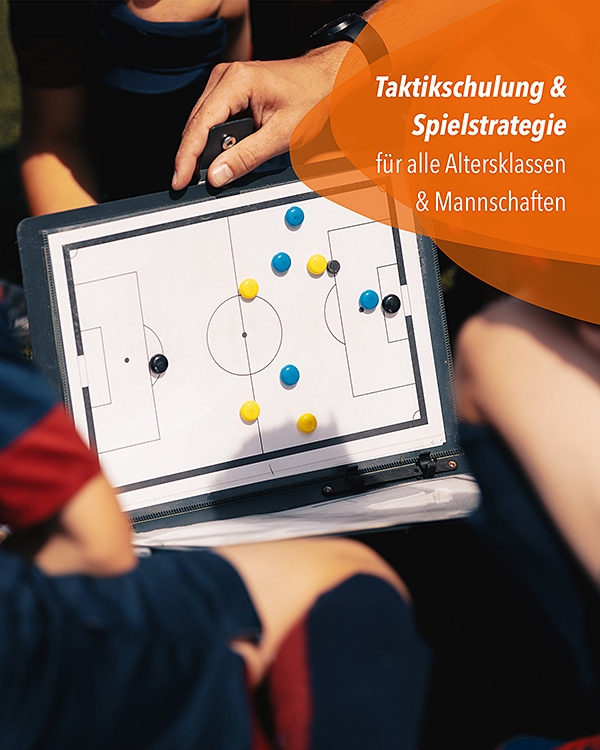 Tactics board with carrying bag, 45 x 30 cm