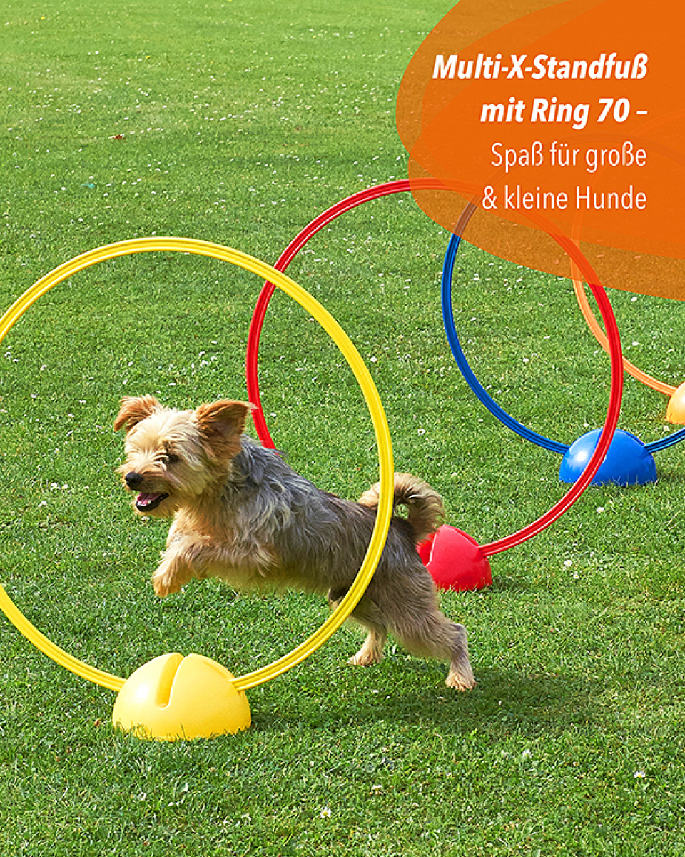 X-foot with ring 70 made of plastic, 4 colors