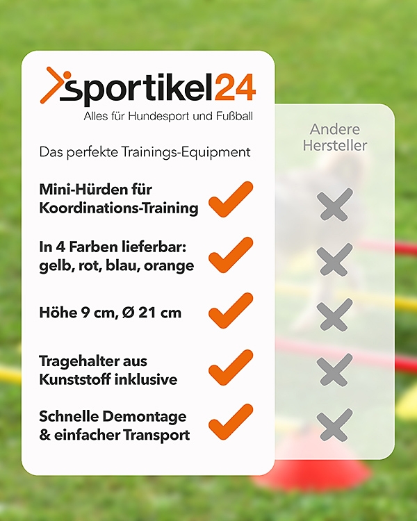 Mini-Hürden mit Stange 50 cm